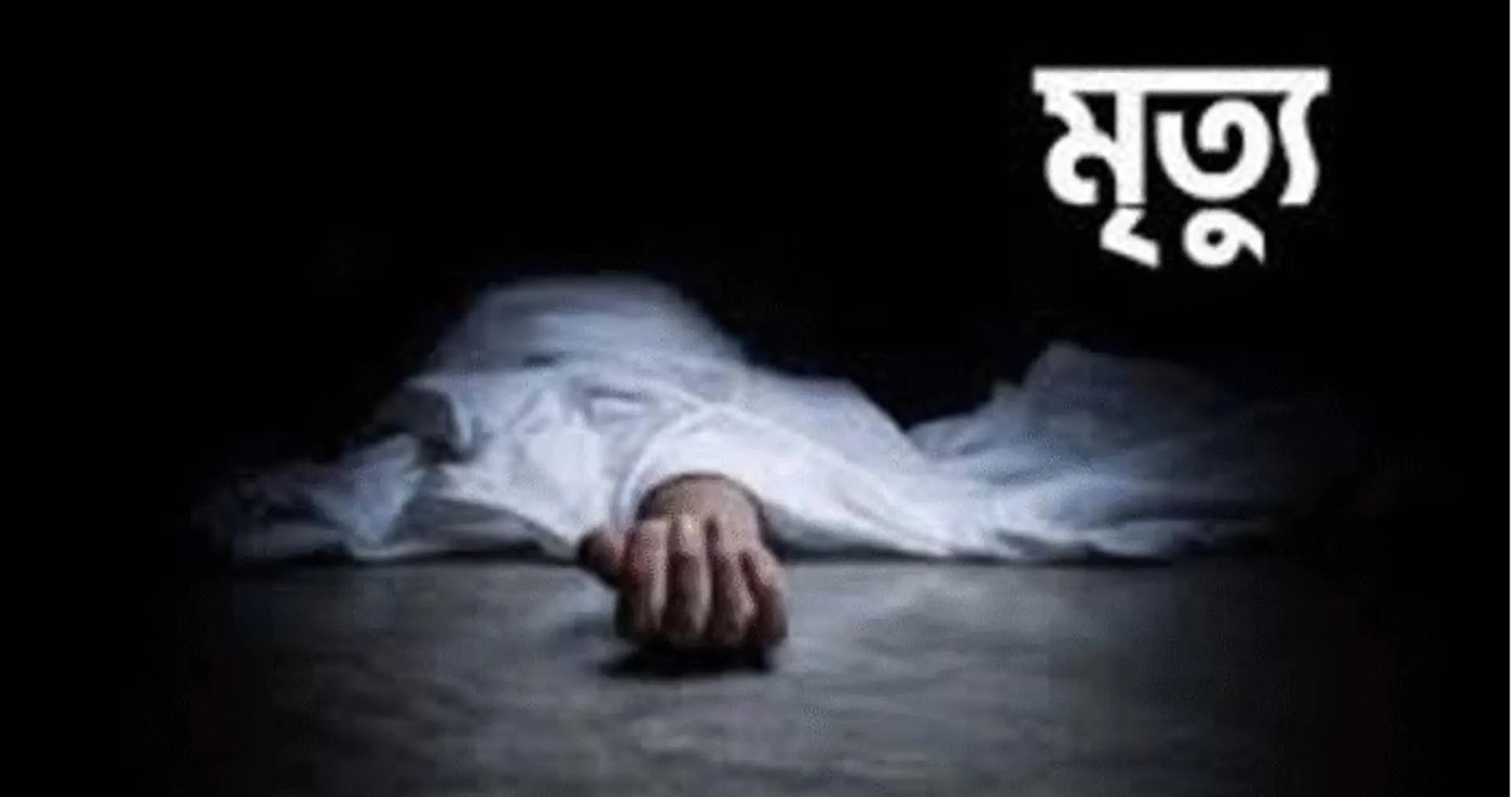 বরিশালে অনলাইনে প্রতারণার শিকার হয়ে গৃহবধূর আত্মহত্যা